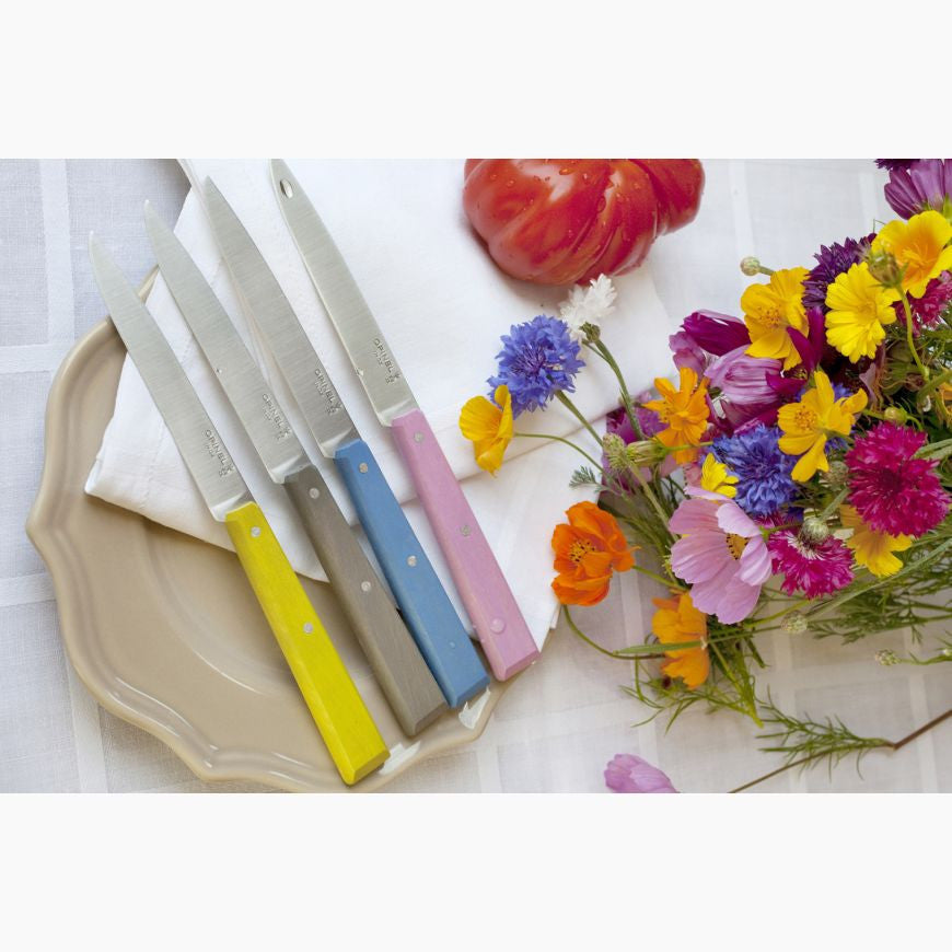 Bon Appetit No.125 Table Knife – Pink